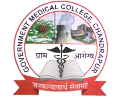 Government Medical College and Hospital (GMC) Chandrapur Recruitment 2024